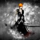 ichigo-ichigo-blich-bankai-mech-spaces.r