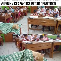 В школе Индонезии