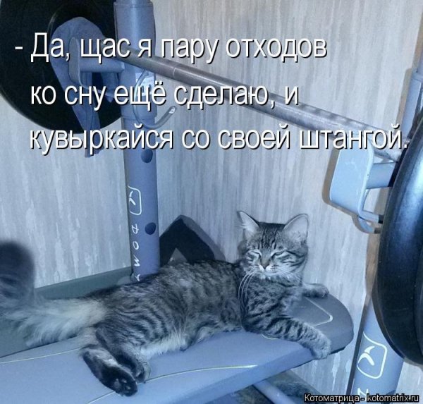 (И кувыркайся...)