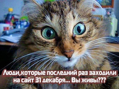 КотЭ)