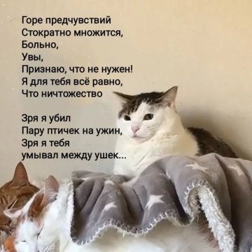 1. Маякотский