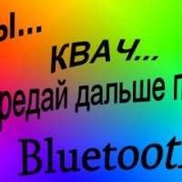 Ты квач