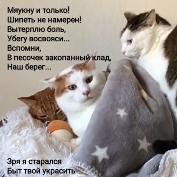 3. Маякотский