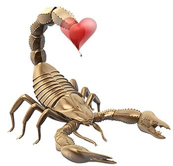 vlyublennyi-skorpion