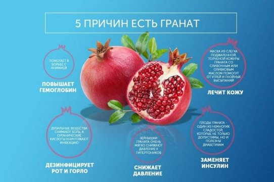 5 причин есть гранат