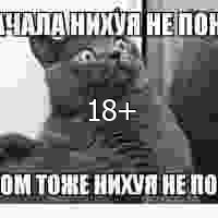 Нихуя не понял