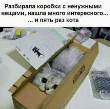 КотЭ)