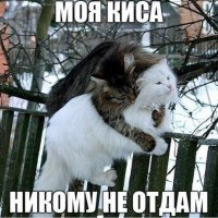 Никому не отдам