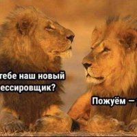 Пожуём - увидим