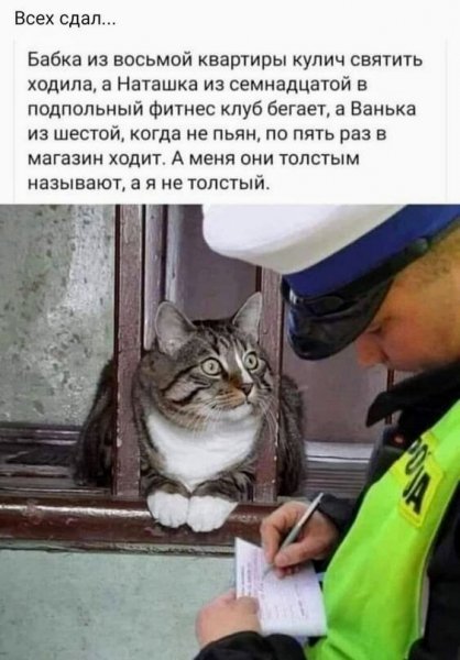 КотЭ)