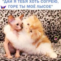 Давай хоть согрею:))