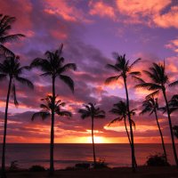 bigstockphoto Hawaiian Sonset On Molokai 3717803