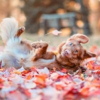 Мое лицо, когда мой краш говорит привет