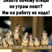 Опаньки!