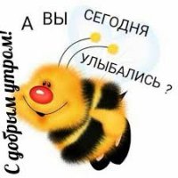 Без названия (7)