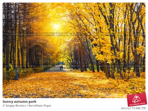 Sunny-autumn-park-0011040778-preview