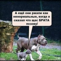 Брата позову!