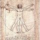 vitruvian-man-av