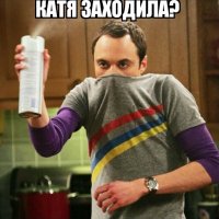 Sheldon Cooper Spraying Lysol 23012017200950