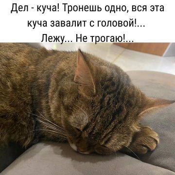 Не трогаю!...