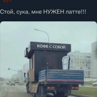 Стой сука