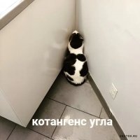 КОТангенс