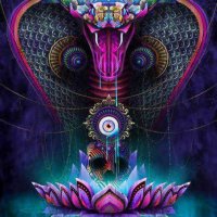 Vertical Dimensions Psychedelic Trance Gathering In Malta