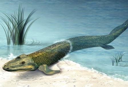 Tiktaalik roseae life restor