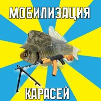 Карасиляция