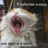 Я работаю в хору