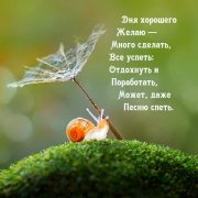 Imagetext ru 53762