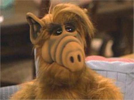 Alf