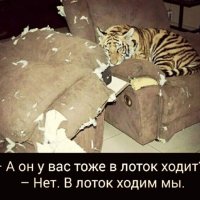 B лоток мы ходим