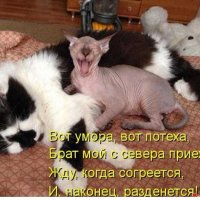 Брат приехал