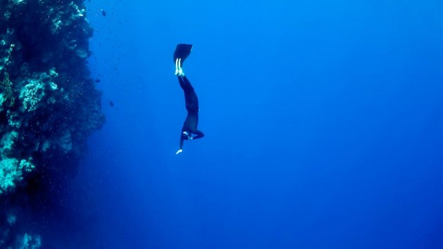 freediving