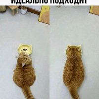 КотЭ)