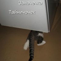 Тайничочек