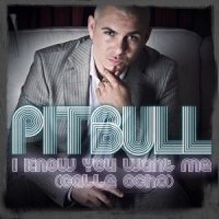 Pitbull - I Know You Want Me (Calle Ocho