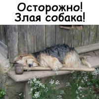 Опаньки!