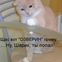 Ты попал!....