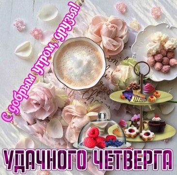 Удачного четверга!