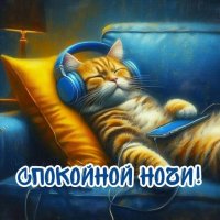 Спокойной ночи