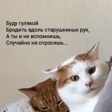 6. Маякотский