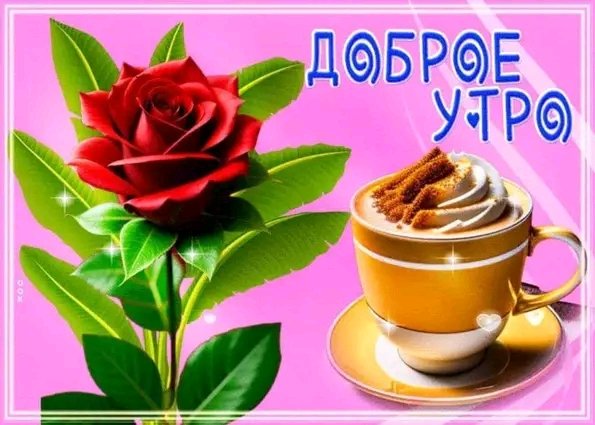 Доброе утро