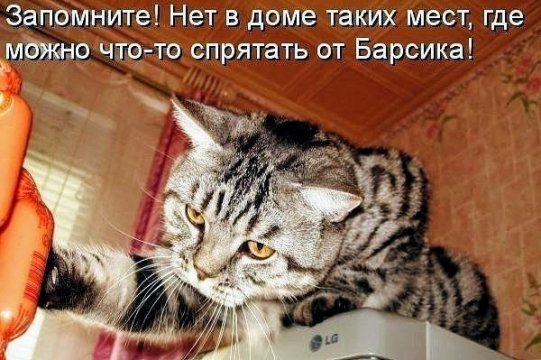 КотЭ)