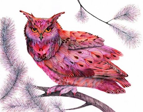 1e2595e93bdab99fed4ca2d4499f0d20--owl-watercolor-watercolour-