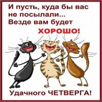 Удачного четверга!