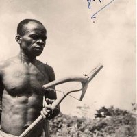 african crossbow