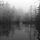 tumblr static depressive-winter-forest-snow-dark2