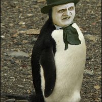 The-Penguin-Danny-DeVito-64436